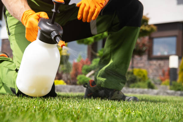 Best Commercial Pest Control Services  in North Pearsall, TX