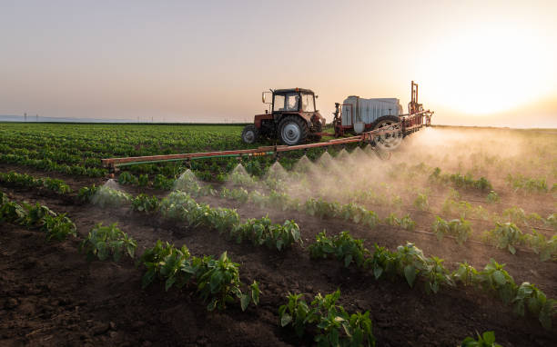 Best Pest Inspection Near Me  in North Pearsall, TX