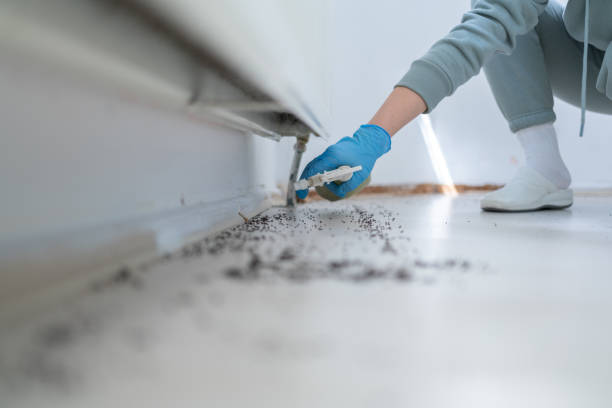 Best Affordable Pest Control Services  in North Pearsall, TX